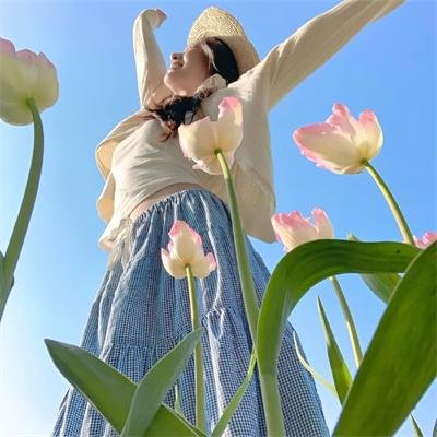 风骚律师第六季