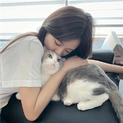 银狐传说